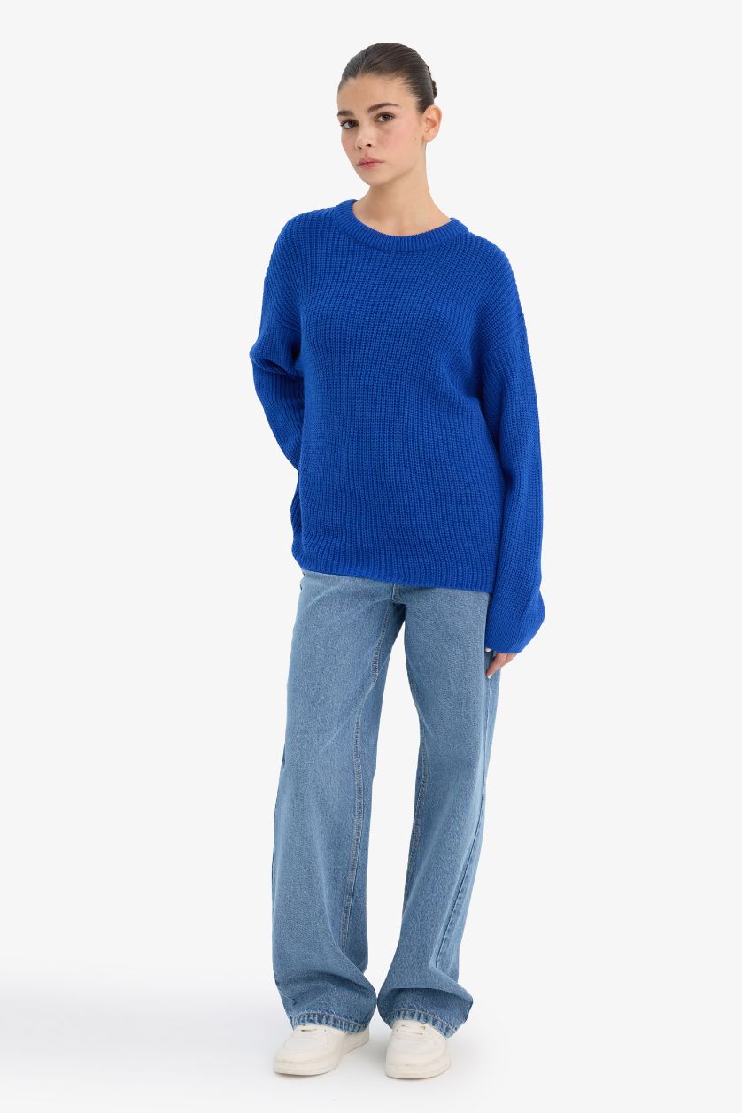 Woman Sax Regular Fit Crew Neck Pullover