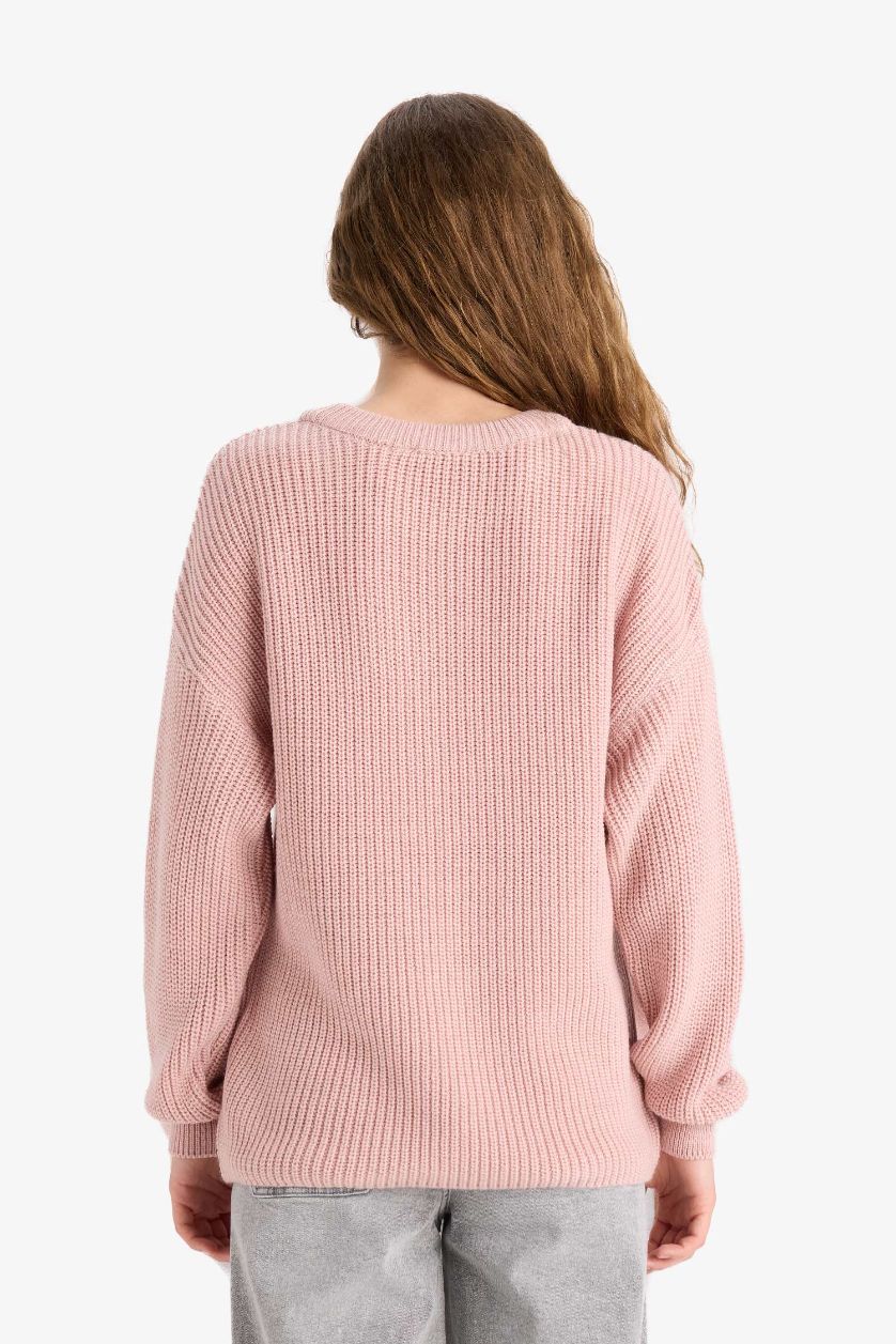 Женщины Розовый Обычная посадка, базовый однотонный трикотажный свитер с круглым вырезом из ткани Селаник