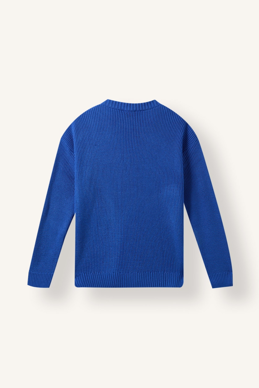 WOMAN Sax Regular Fit Pullover