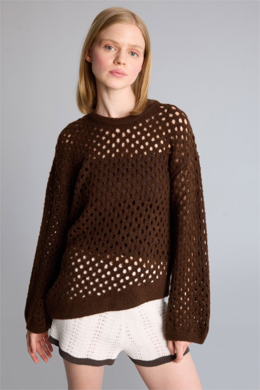 Woman Brown Regular Fit Knitwear Pullover