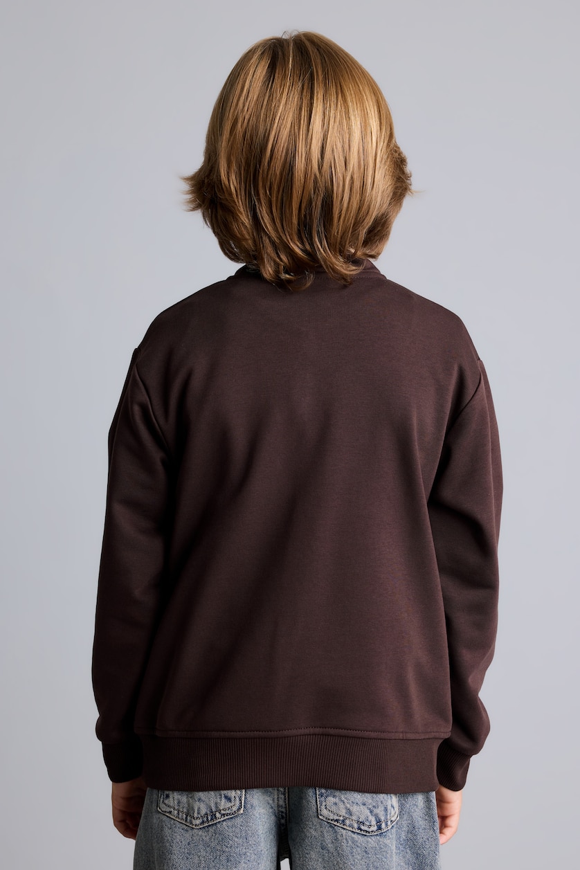 Young Boys - Teen Boys Brown High Neck Sweatshirt
