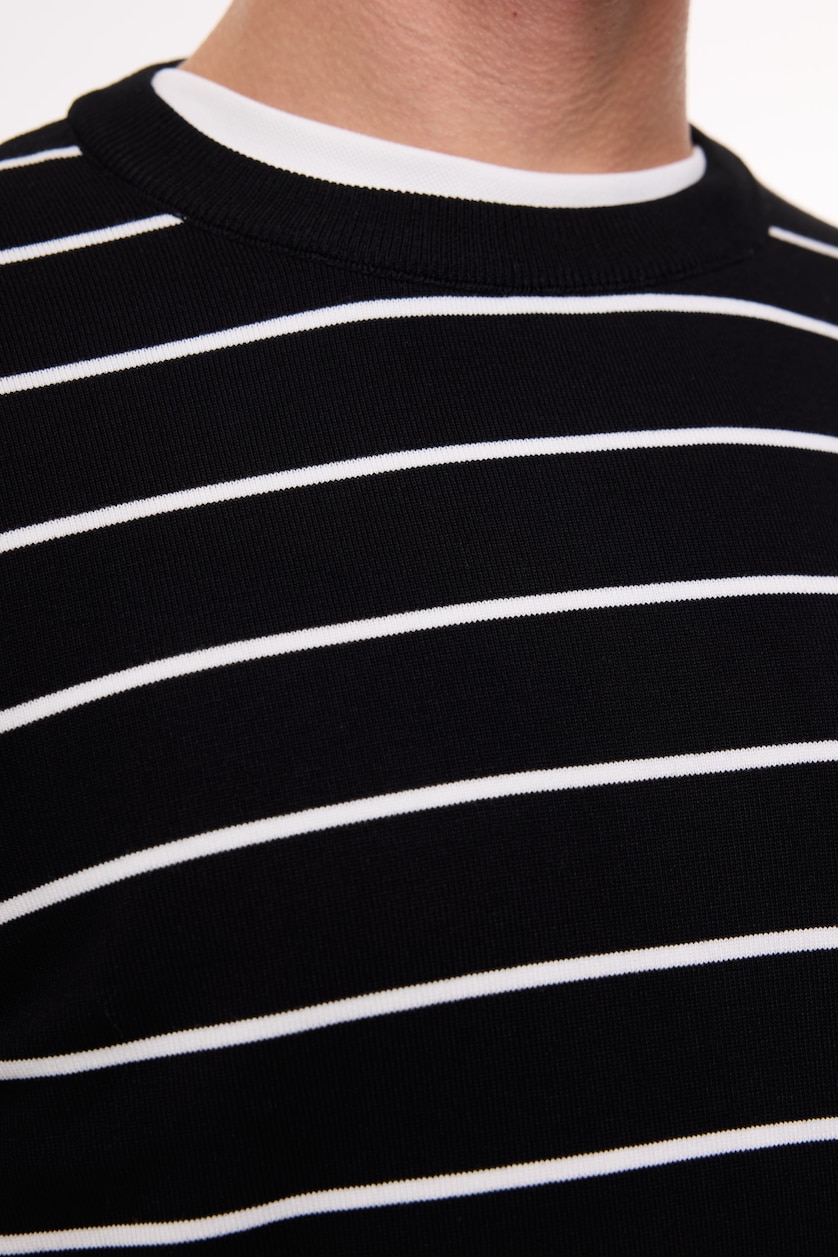 Man Black Standard Fit Striped Crew Neck Knit Pullover