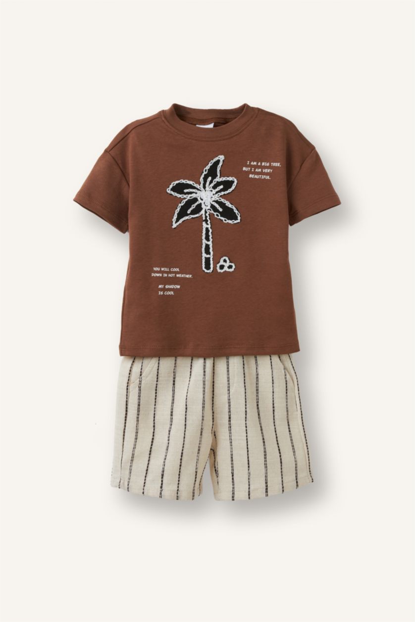Baby Boys Light Brown 2 piece Regular Fit Crew Neck Striped Set
