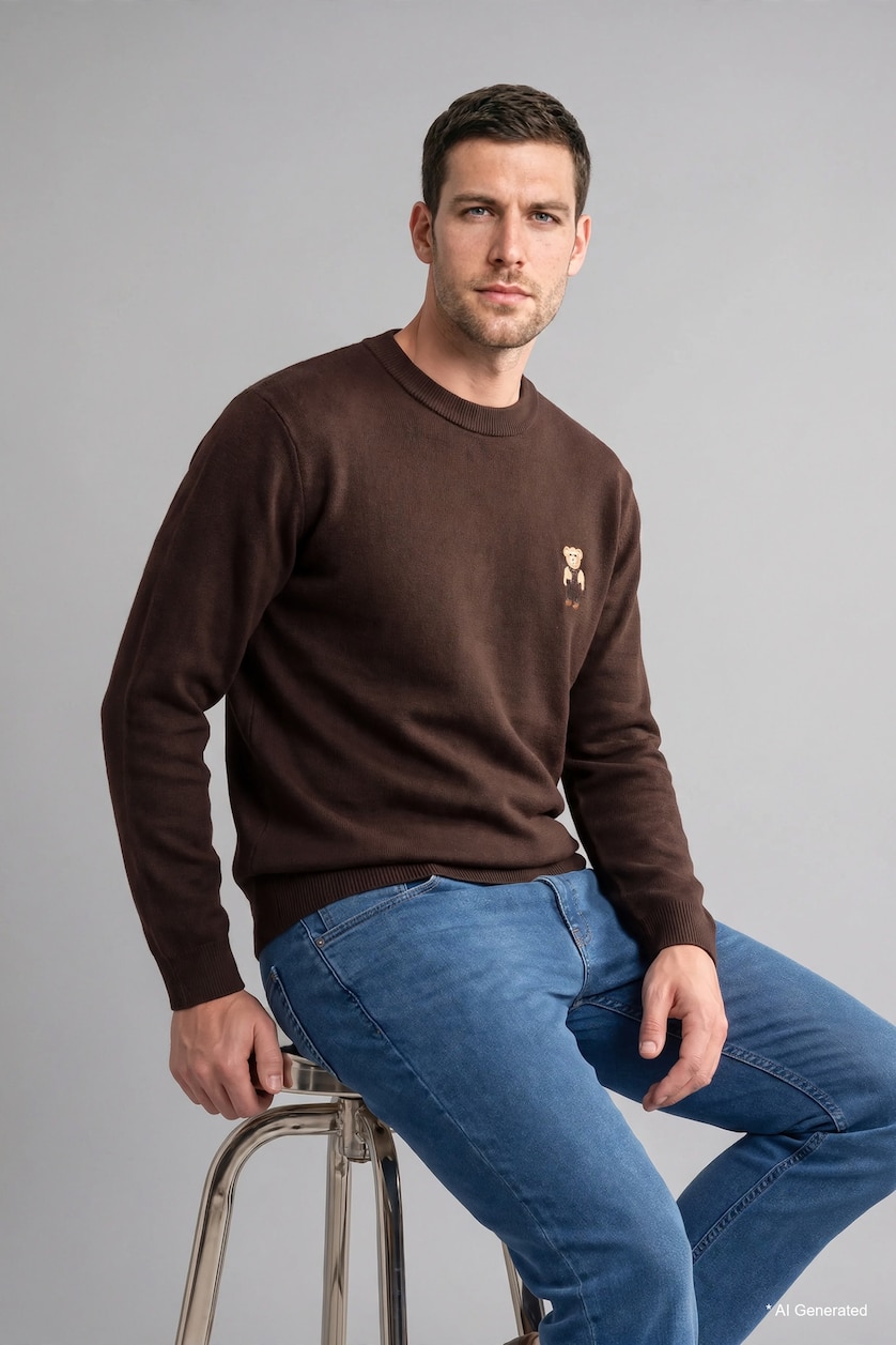 Man Brown Relax Fit Knitwear Pullover