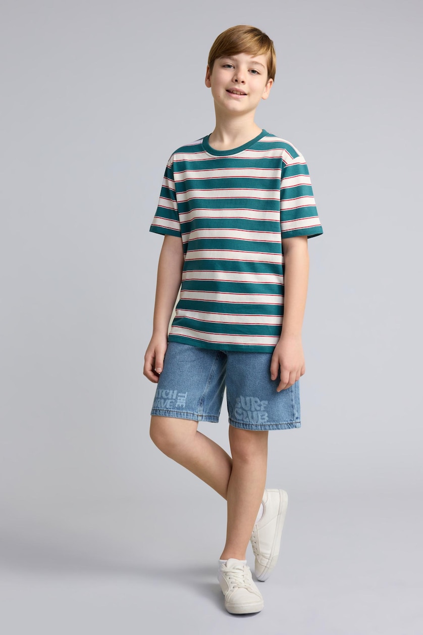 Boys & Teens Green Boy Regular Fit Striped Crew Neck Short Sleeve T-Shirt