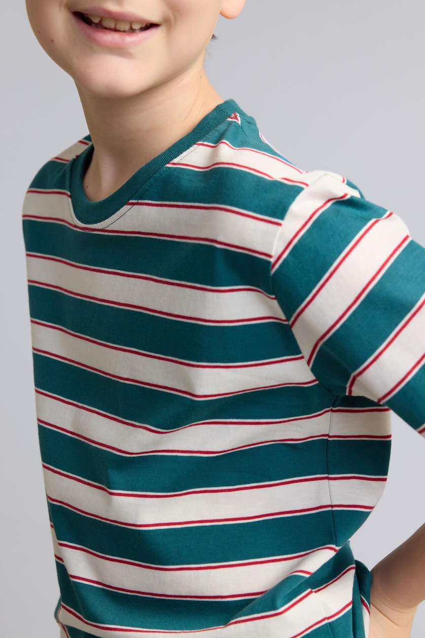 Boys & Teens Green Boy Regular Fit Striped Crew Neck Short Sleeve T-Shirt