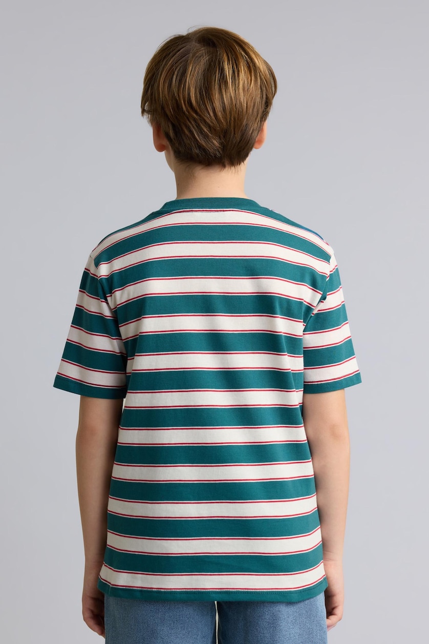Boys & Teens Green Boy Regular Fit Striped Crew Neck Short Sleeve T-Shirt