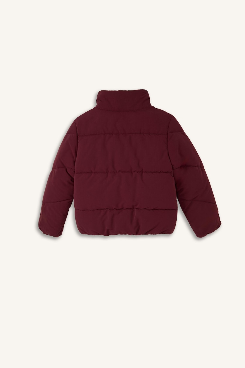 Young Girls - Teen Girls Bordeaux Girl Half Turtleneck Puffer Jacket