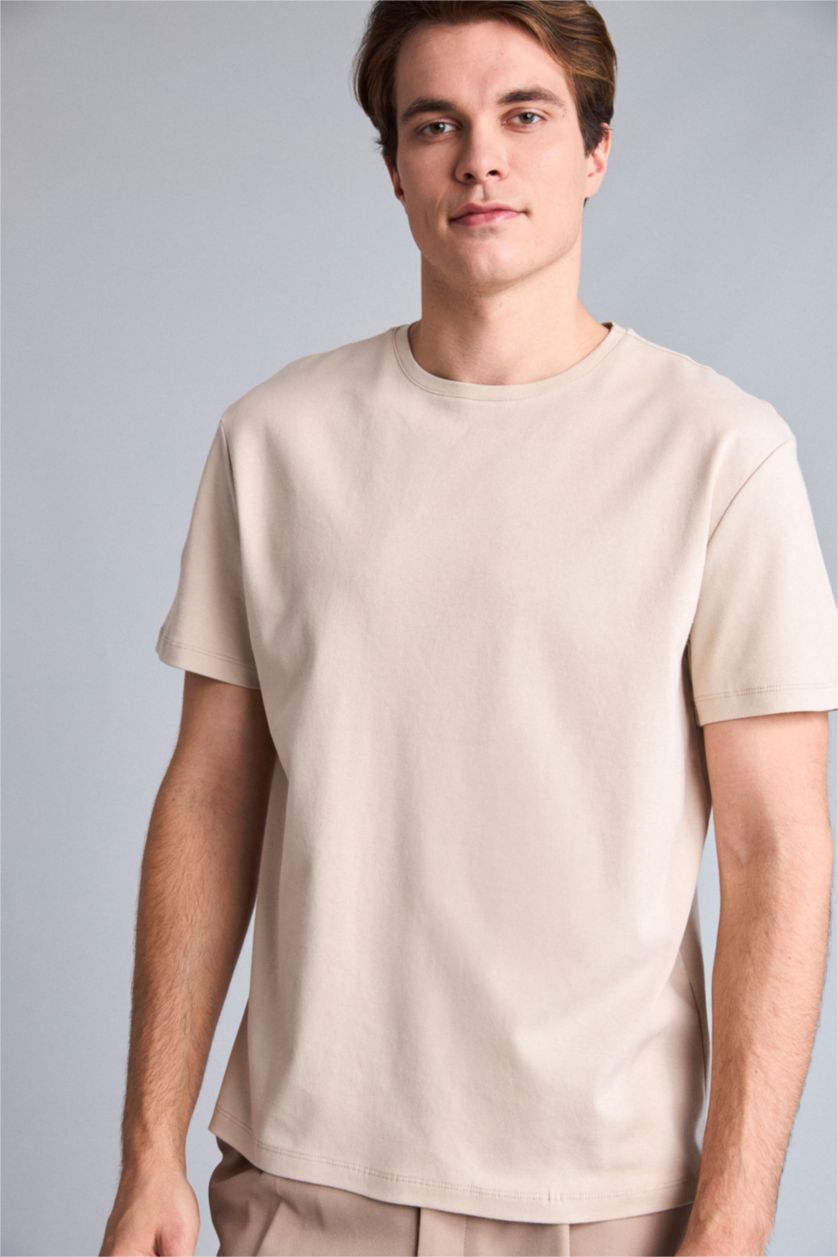 Men Stone Regular Fit Short Sleeve T-Shirt