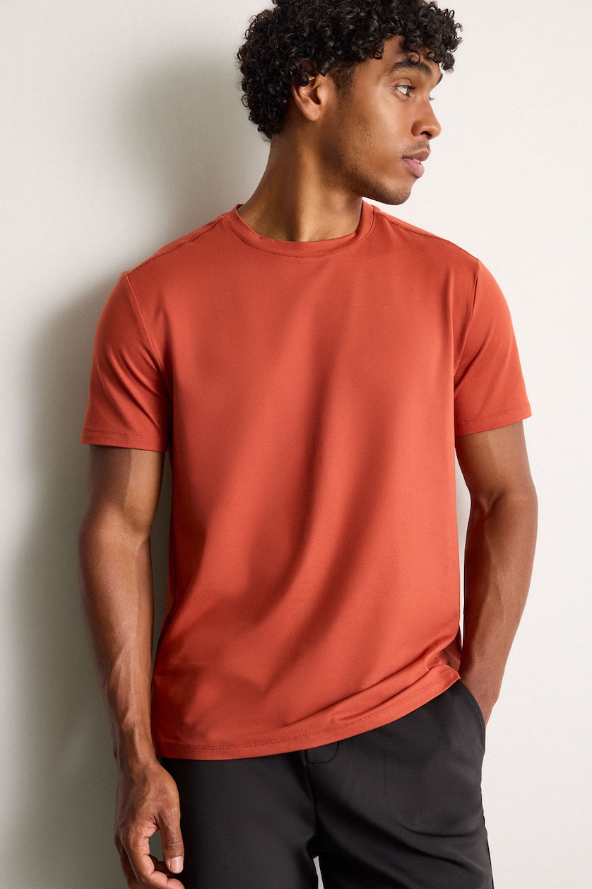Men Light Bordeaux Standard Fit Short Sleeve T-Shirt