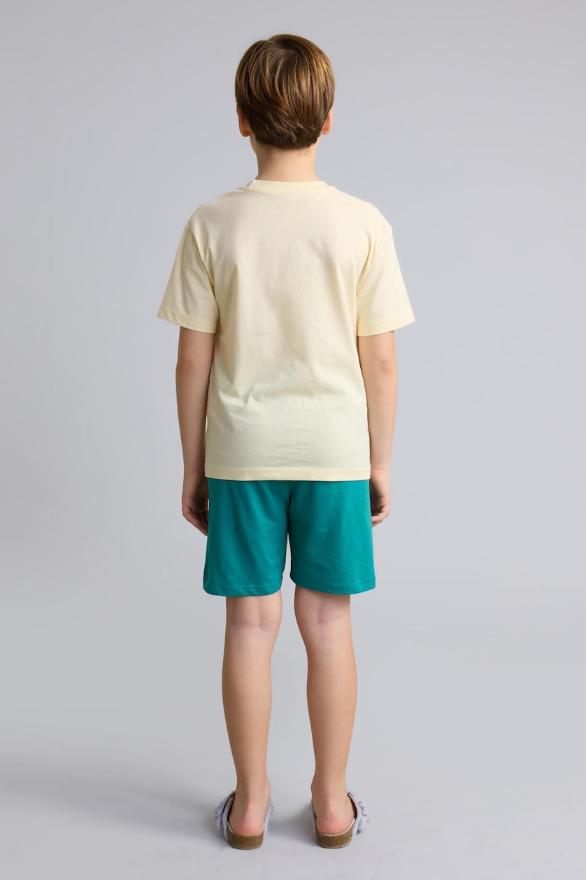 BOYS & TEENS Light Yellow Boy 2 piece Regular Fit Printed Knitted Pyjamas