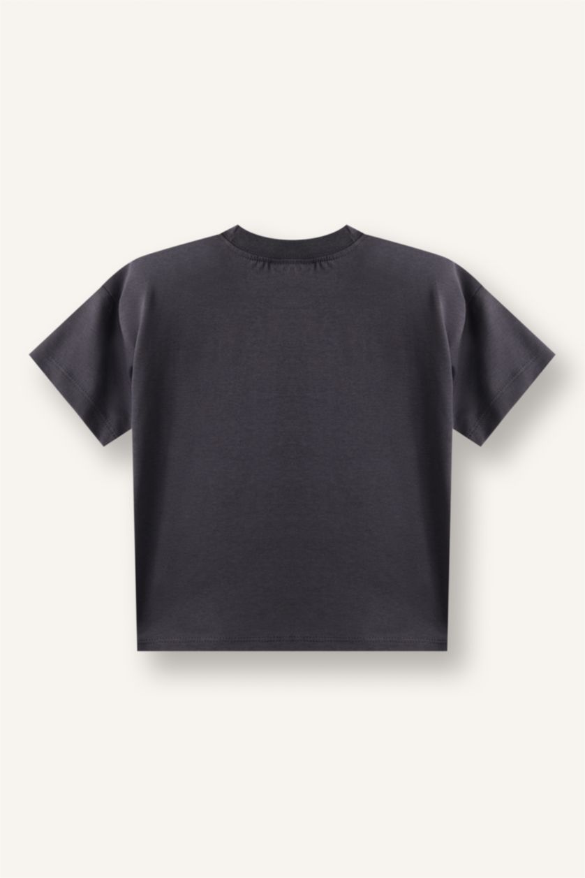 Baby Boys Anthracite Regular Fit Printed Short Sleeve T-Shirt
