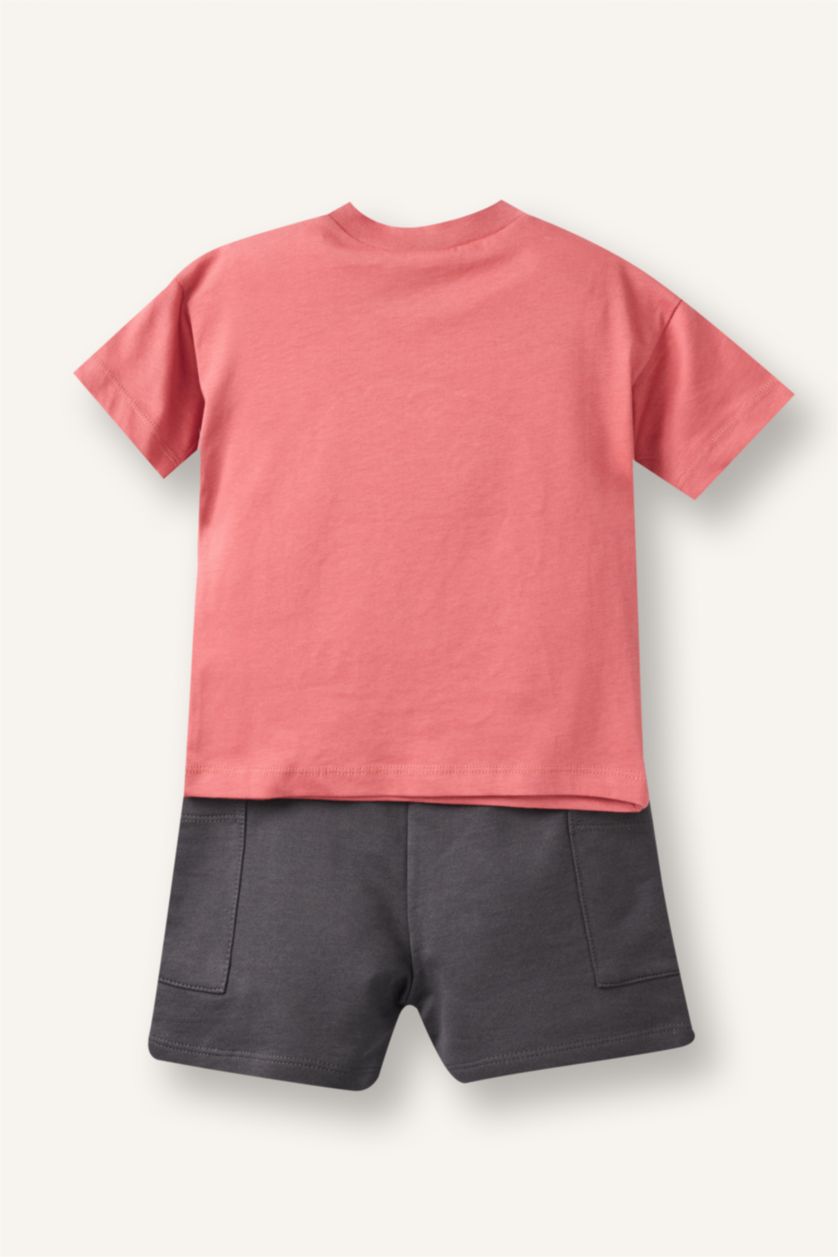 Baby Boys Dark Rose 2 piece Regular Fit Embroidered Set