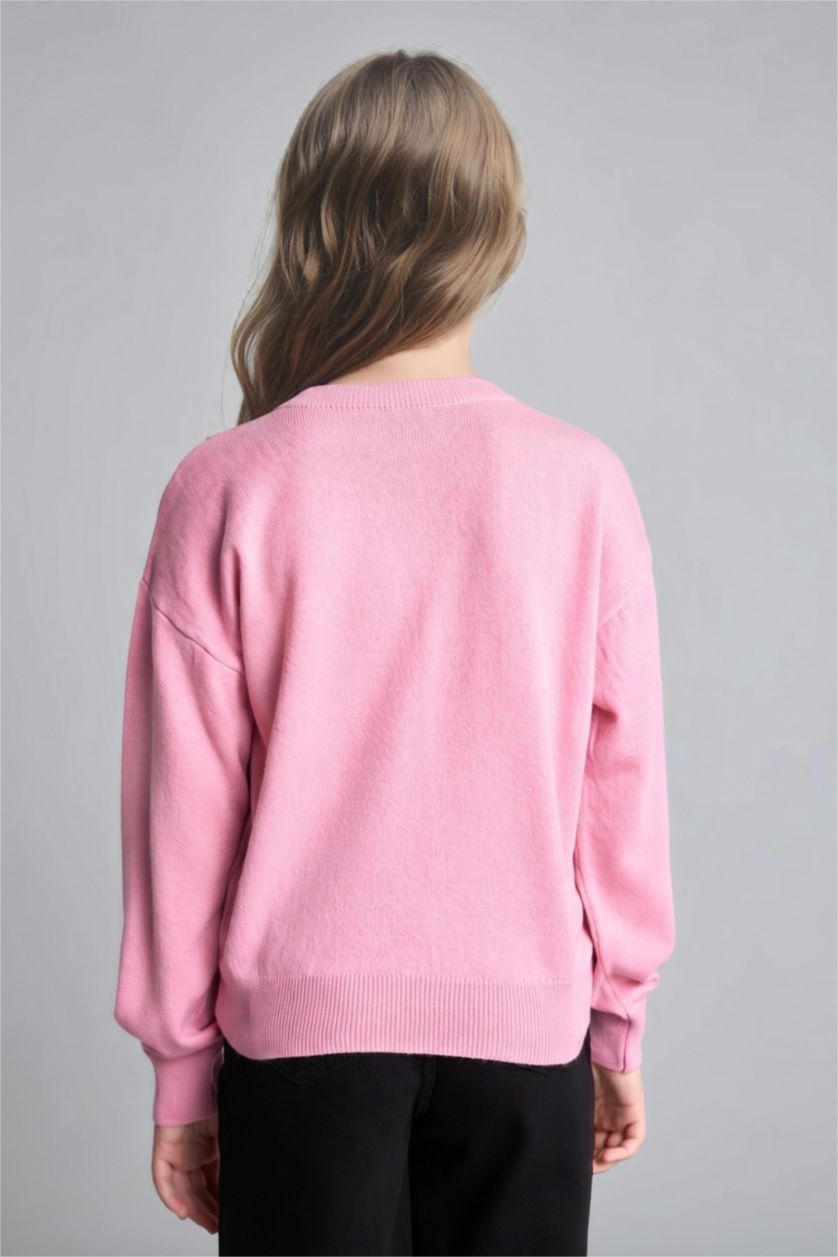 Girls & Teens Dark Pink Girl Regular Fit Crew Neck Pullover