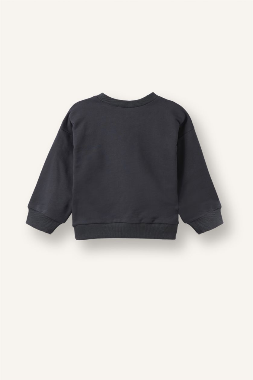Erkek Bebek Antrasit Regular Fit 2'Li Sweatshirt Set Erkek Bebek