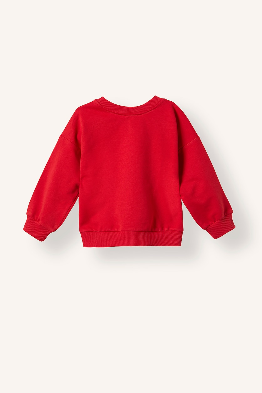 Baby Boys Red Regular Fit Printed Crew Neck Sweatshirt