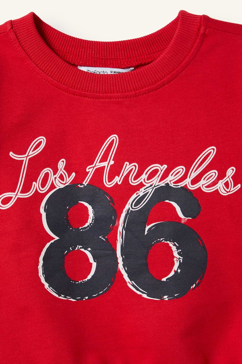 Baby Boys Red Regular Fit Printed Crew Neck Sweatshirt