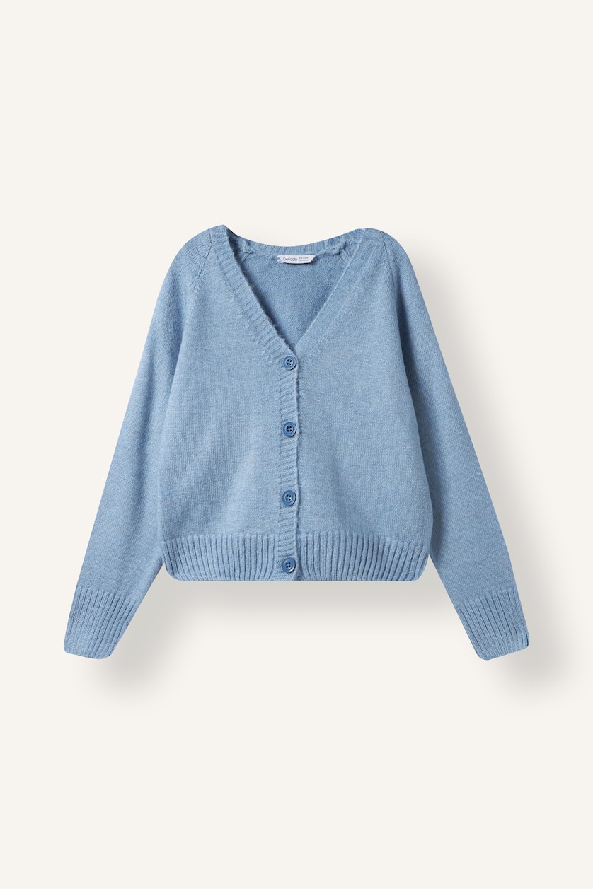Young Girls - Teen Girls Blue Regular Fit Cardigan