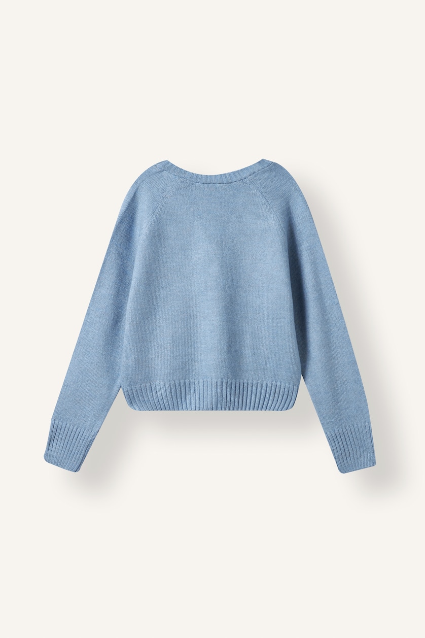 Young Girls - Teen Girls Blue Regular Fit Cardigan