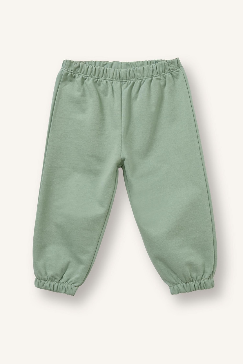 Baby Boys Ecru 2 piece Regular Fit Crew Neck Animal Set