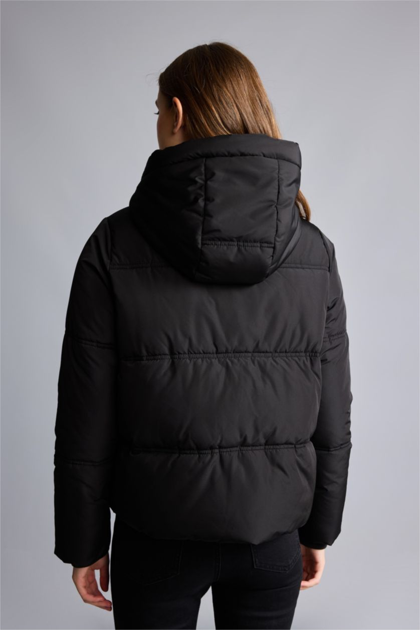 Kadın Siyah Regular Fit Şişme Mont