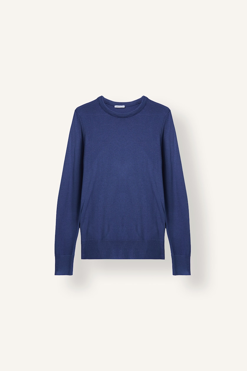 Women Blue Regular Fit Pullover