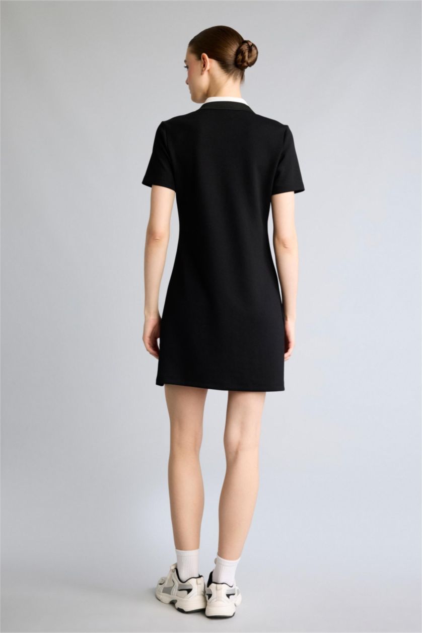 نساء أسود Standard Fit Polo Neck Basic Mini Dress