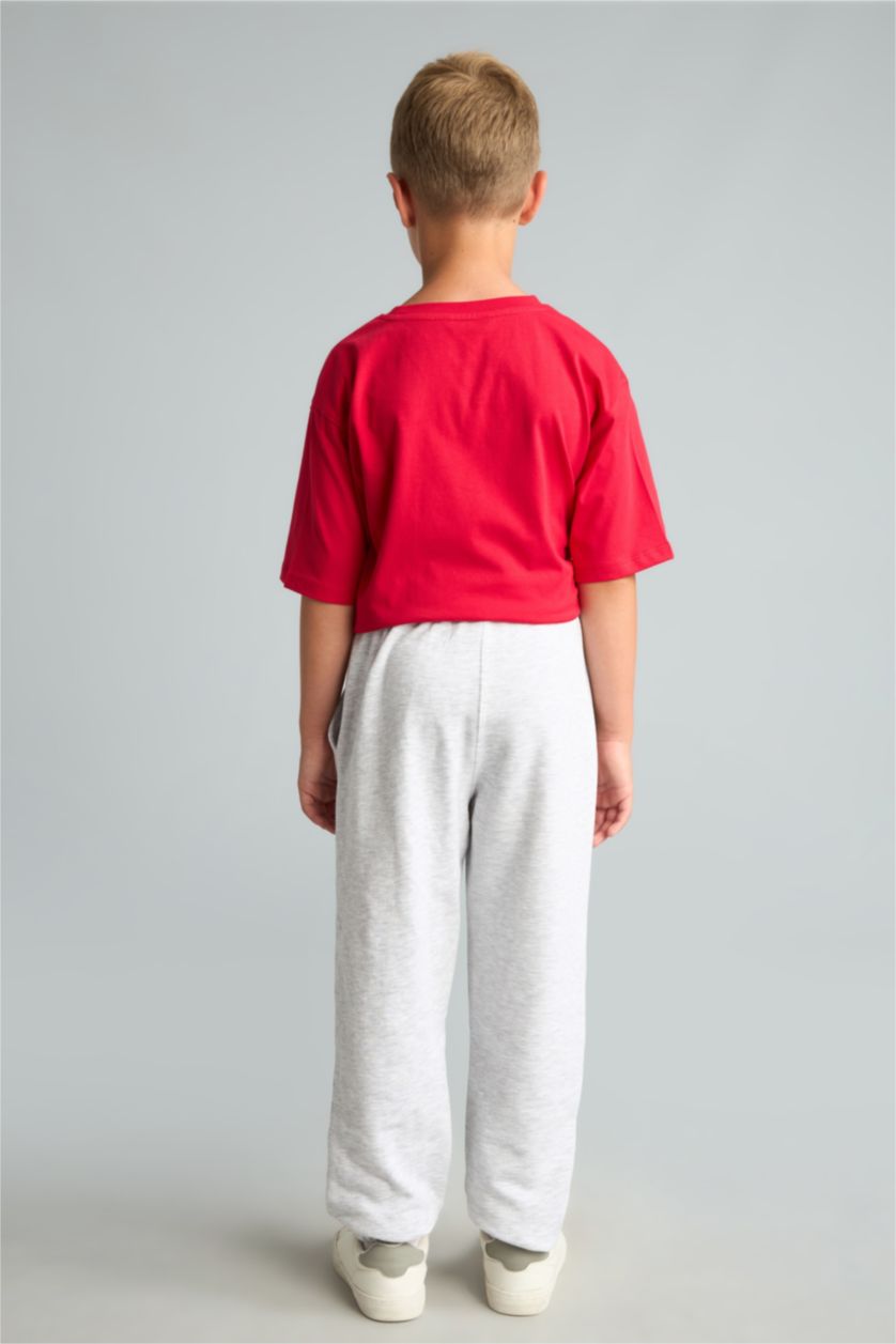 Young Boys - Teen Boys Light Grey Melange Regular Fit Trousers