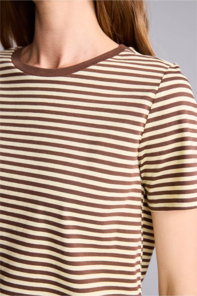 Women Brown Regular Fit Short Sleeve T-Shirt