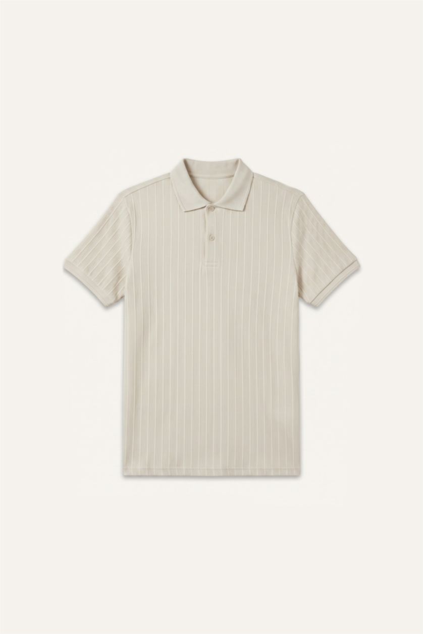 Men Stone Regular Fit Short Sleeve Polo T-Shirt