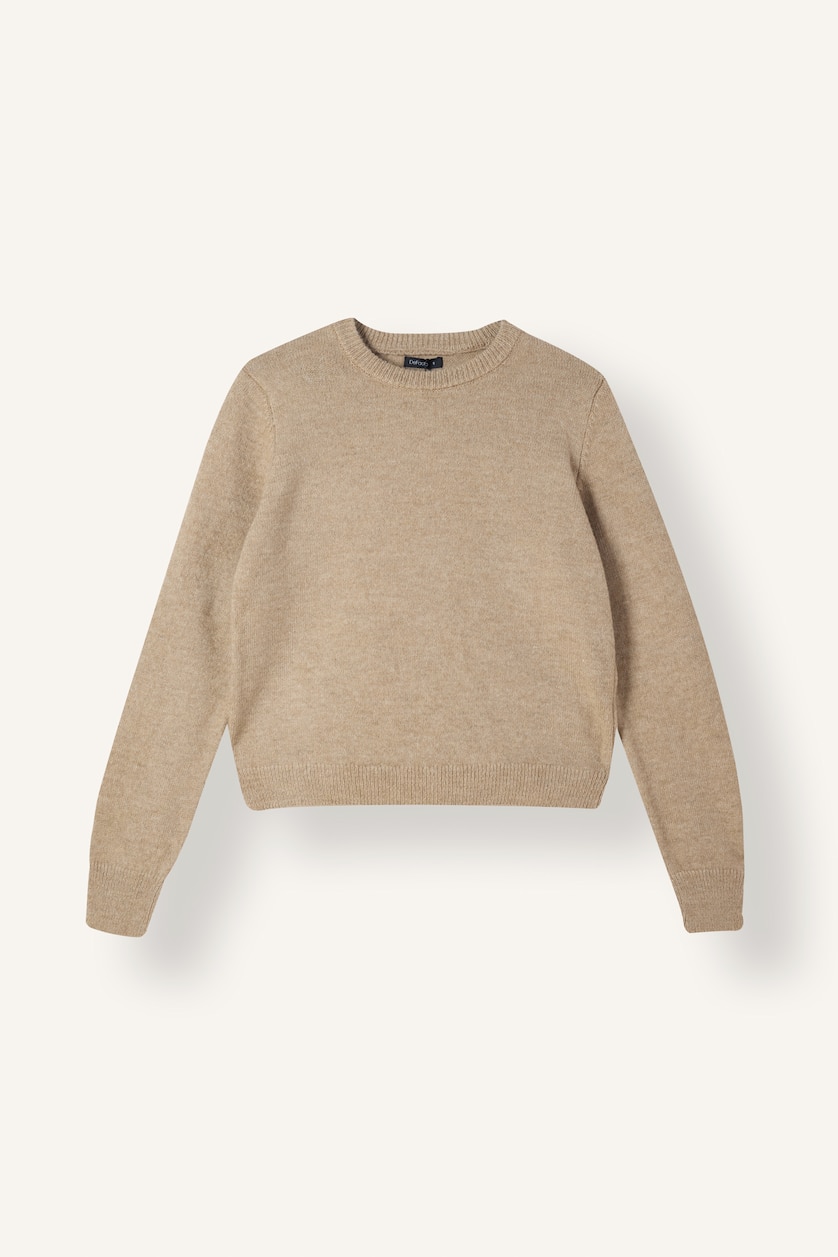 Kadın Vizon Regular Fit Bisiklet Yaka Basic Kazak