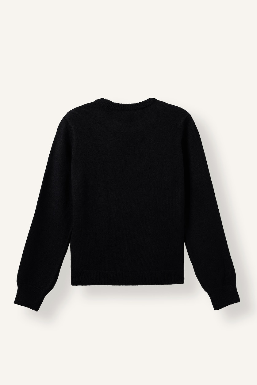 Women Black Regular Fit Pullover