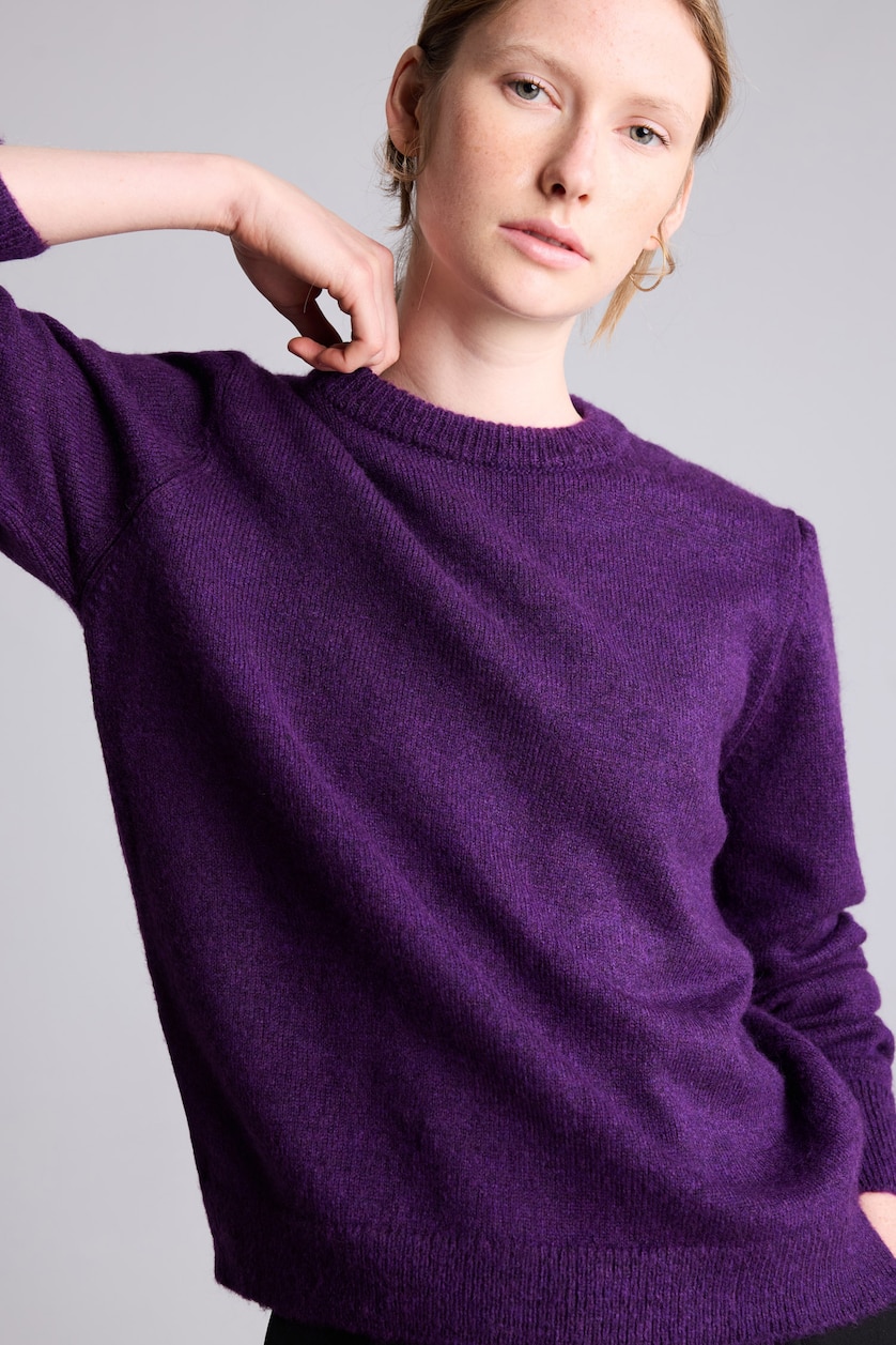 نساء بنفسجي Regular Fit Basic Crew Neck Knit Pullover