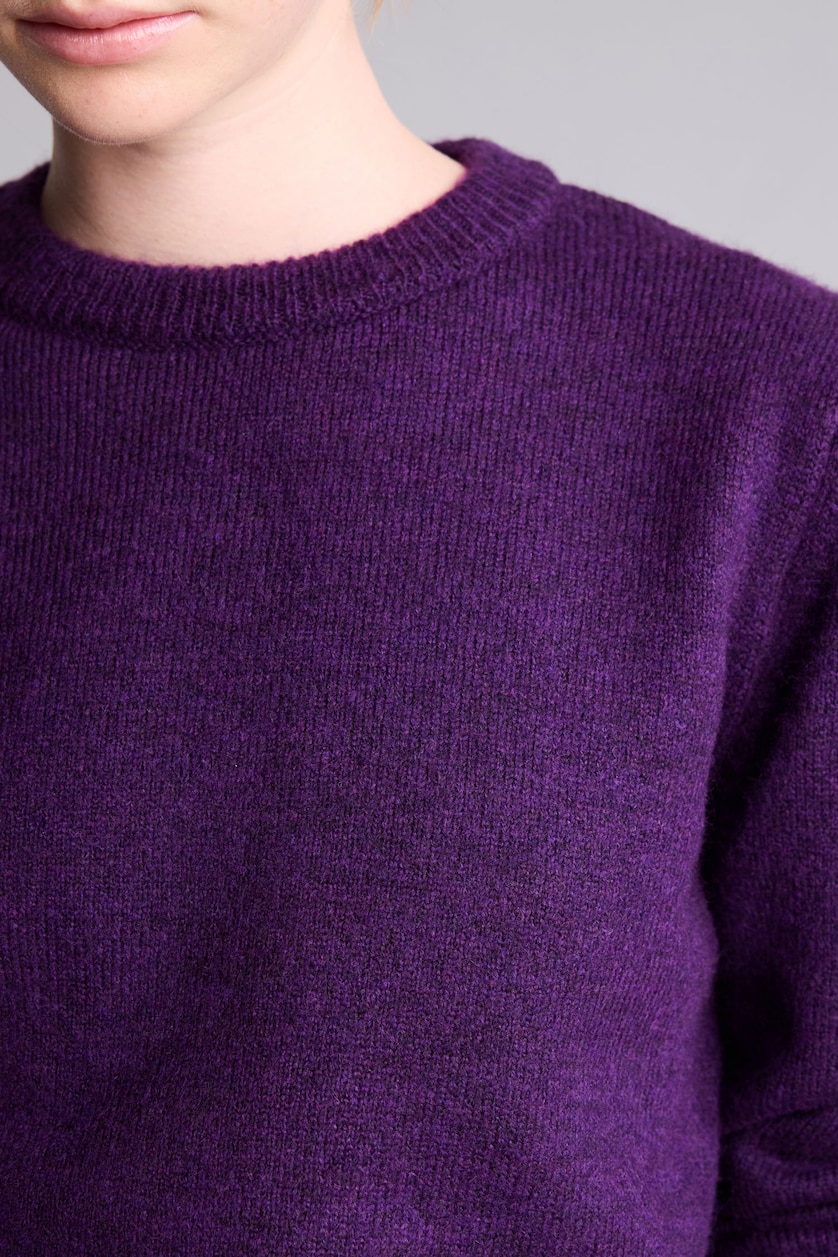 نساء بنفسجي Regular Fit Basic Crew Neck Knit Pullover