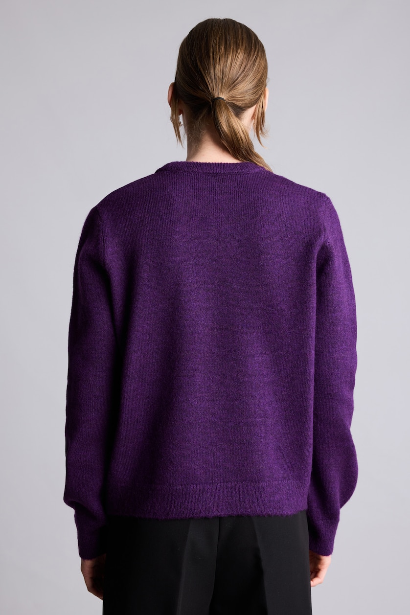 نساء بنفسجي Regular Fit Basic Crew Neck Knit Pullover