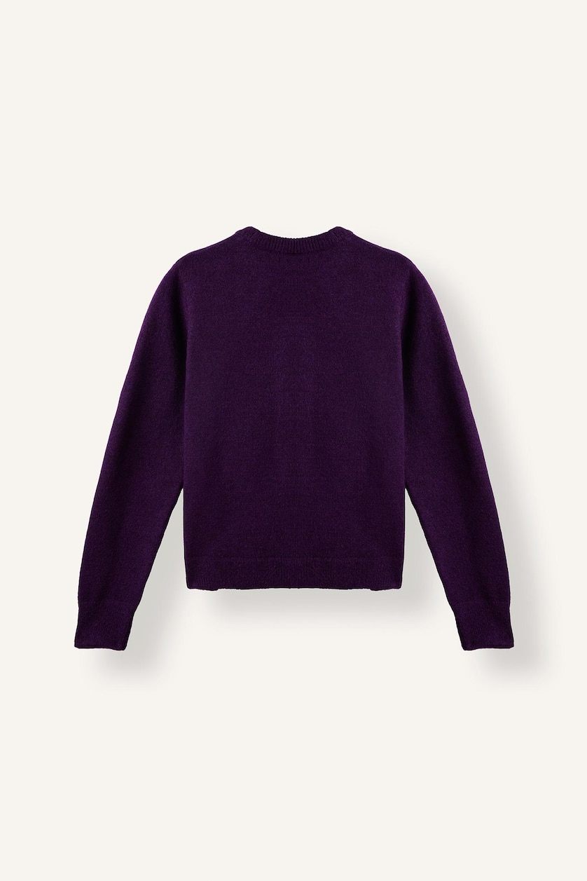 نساء بنفسجي Regular Fit Basic Crew Neck Knit Pullover