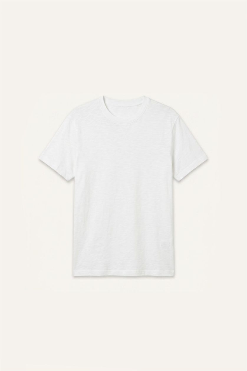 Man Ecru Regular Fit Short Sleeve T-Shirt