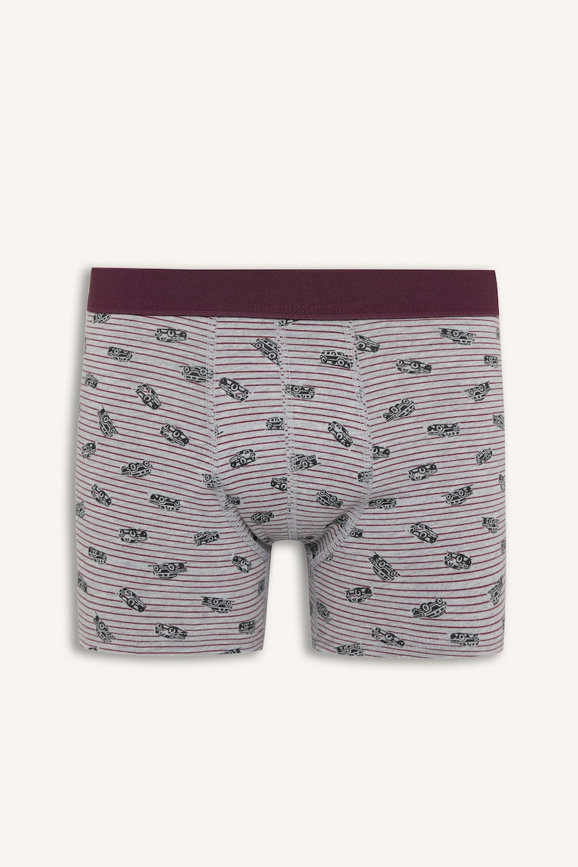 Men Bordeaux Regular Fit 2 piece