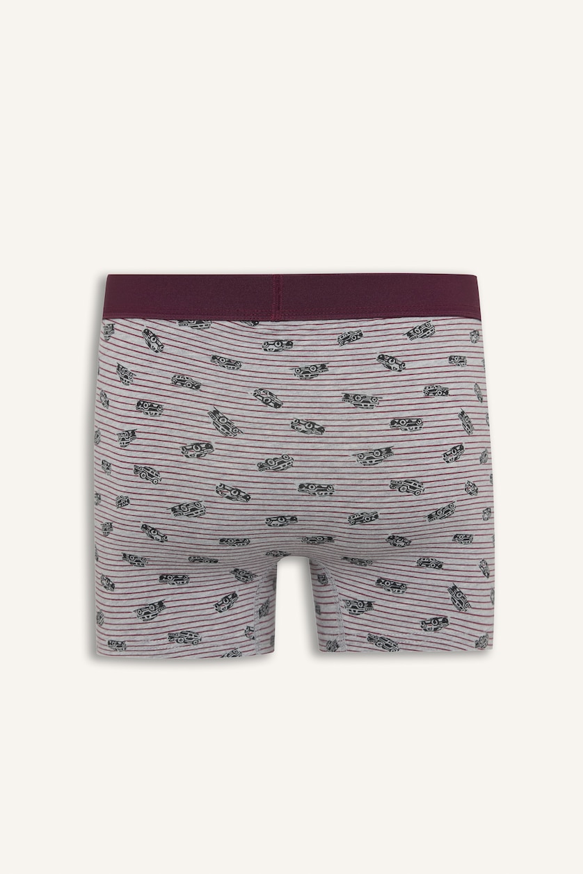 Men Bordeaux Regular Fit 2 piece