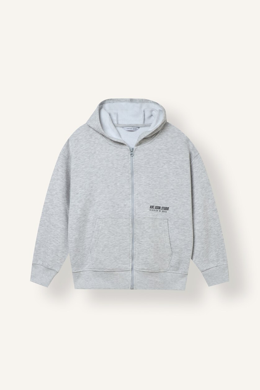 DJEM & ADOLESHENTË Light Grey Melange Boy Printed Zip-Up Hoodie