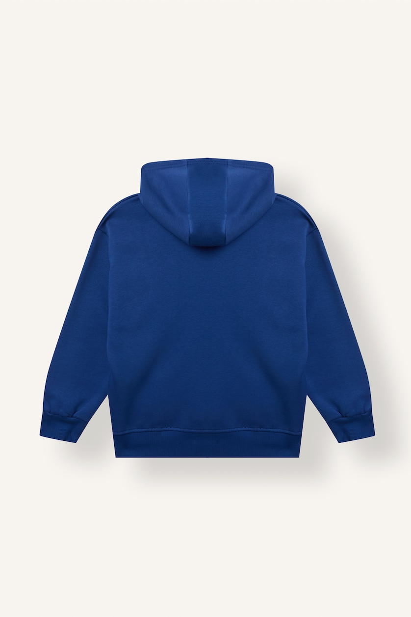 Boys & Teens Royal Boy Regular Fit Heavy Fabric Sweatshirt