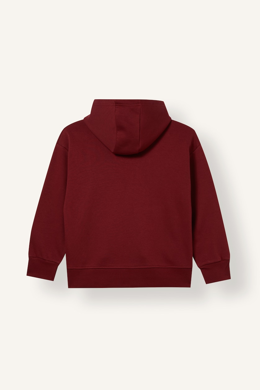 Young Boys - Teen Boys Bordeaux Regular Fit Slogan Hooded Sweatshirt
