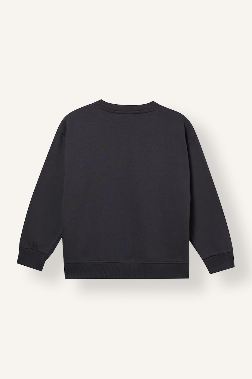 Boys & Teens Anthracite Boy Textured Embroidery Sweatshirt