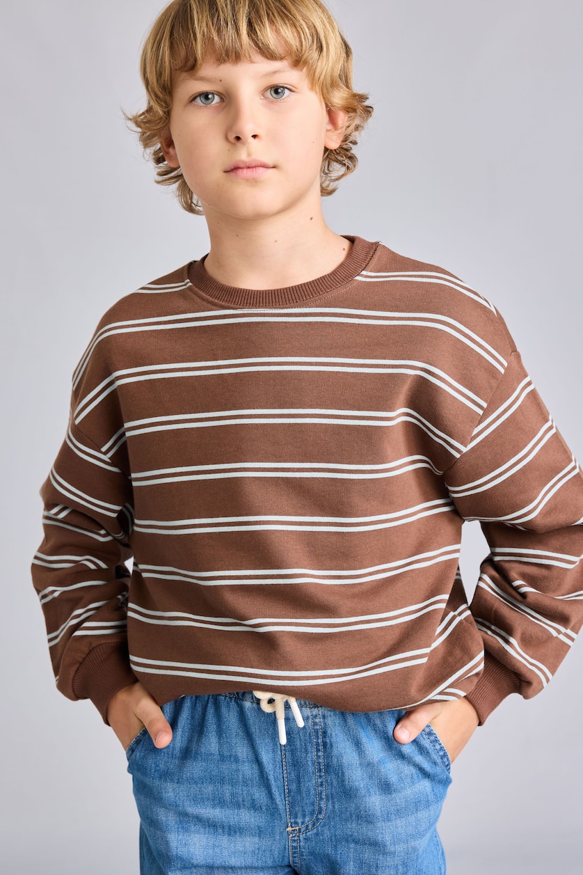 Young Boys - Teen Boys Brown Oversize Fit Printed Crew Neck Sweatshirt