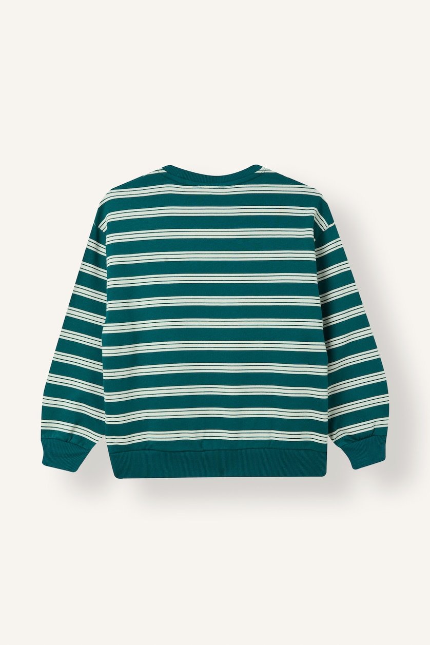 DJEM & ADOLESHENTË Green Boy Oversize Striped Crew Neck Sweatshirt
