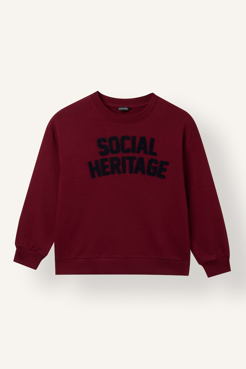Boys & Teens Bordeaux Embroidery Print Oversize Fit Sweatshirt