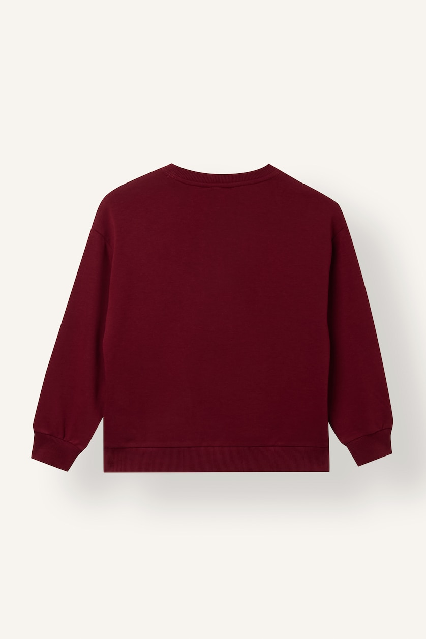 Boys & Teens Bordeaux Embroidery Print Oversize Fit Sweatshirt