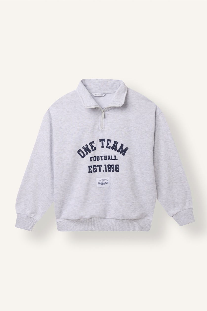 Young Boys - Teen Boys Light Grey Melange Boy Printed Cotton High Neck Long Sleeve Sweatshirt