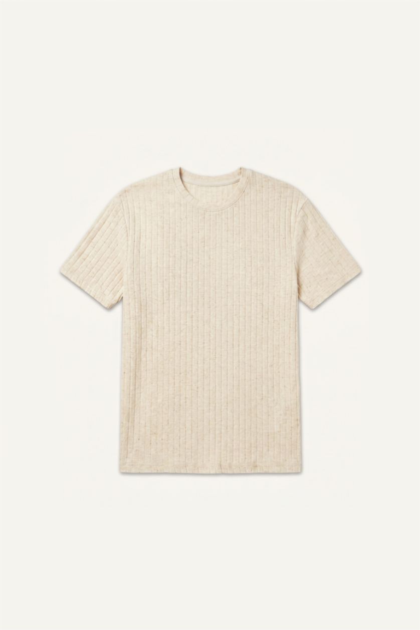 Men Stone Regular Fit Short Sleeve T-Shirt