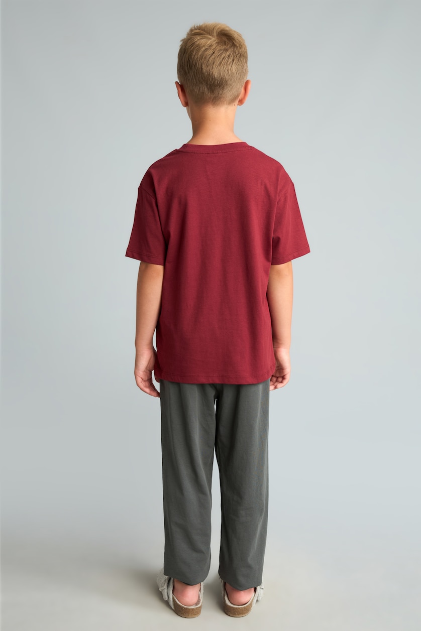 Young Boys - Teen Boys Bordeaux 2 piece Regular Fit Knitted Pyjamas